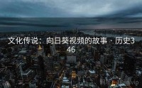 文化传说：向日葵视频的故事 · 历史346