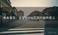 考古发现：天堂WWW资源的独特意义