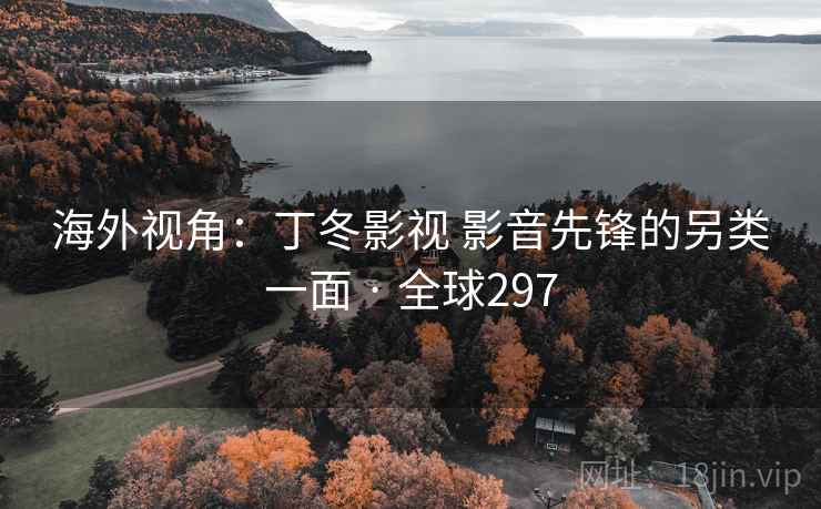 海外视角：丁冬影视 影音先锋的另类一面 · 全球297
