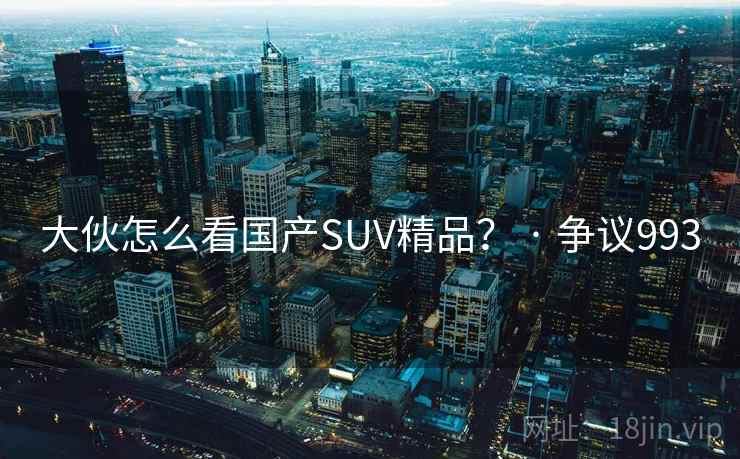 大伙怎么看国产SUV精品？ · 争议993