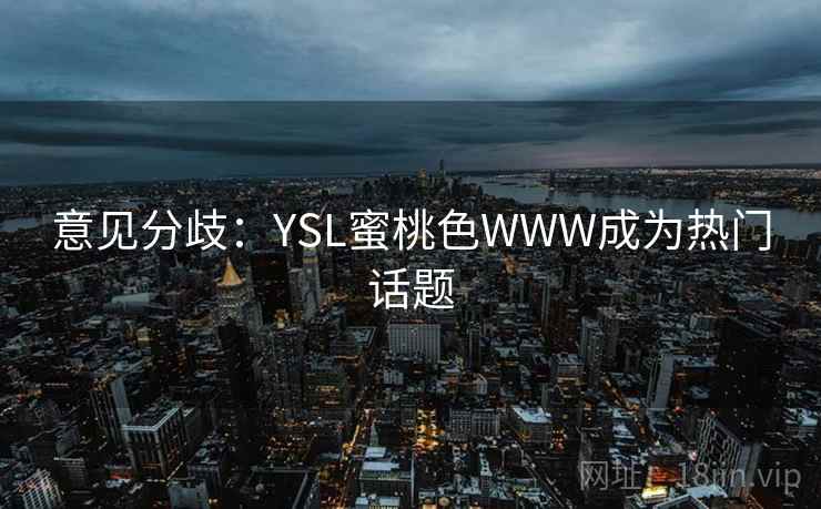 意见分歧：YSL蜜桃色WWW成为热门话题